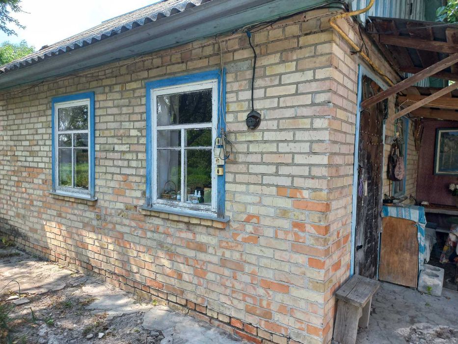 Продається будинок біля річки Десна в мальовничому селі Євминка