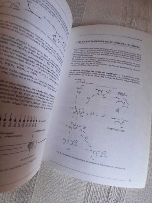 livro de medicina Antibioticos e Lactamicos