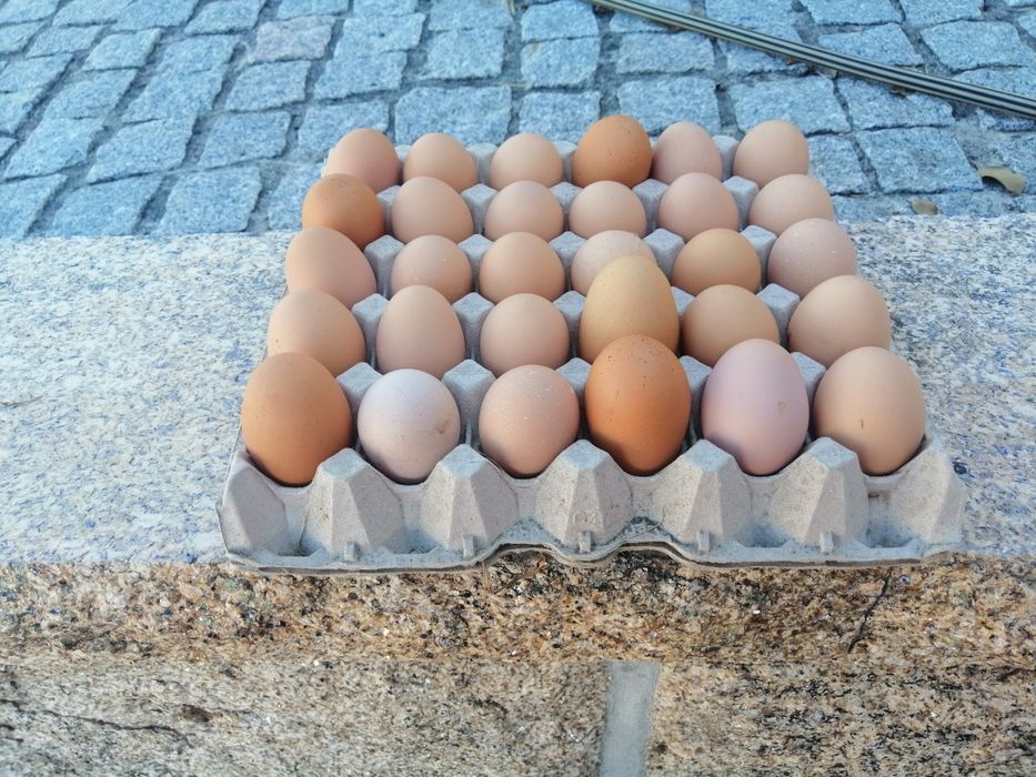 Ovos de origem biológica