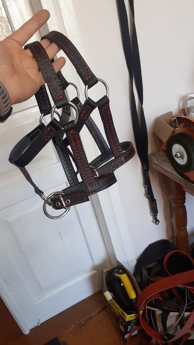 Недоуздок для усмирения теленка  быка джерсейская голштинская абердин