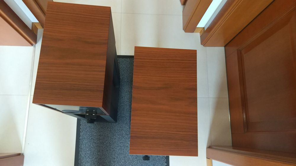 Trenner&Friedl ART3 kolumny głośnikowe, monitory