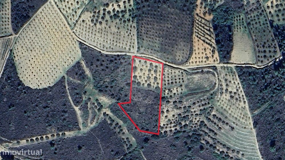 Terreno  para venda — Argeriz, Vila Real