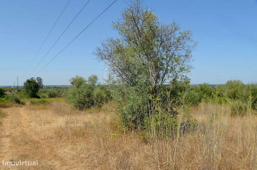 Terreno  para venda