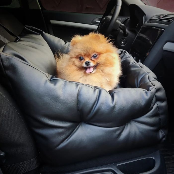 Автокрісло "BEIGE" для собак