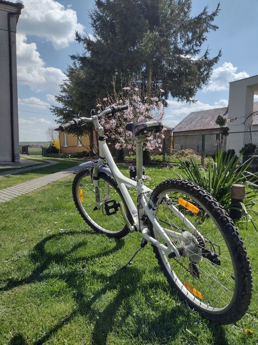 Giant taffy dla juniora.