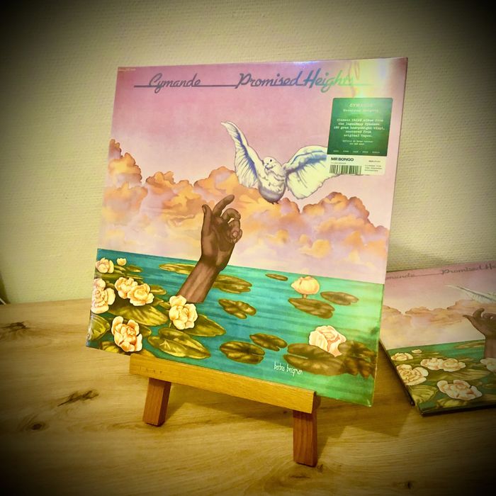 Нові запаковані вінілові платівки