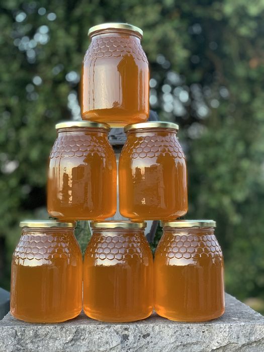 Mel biologico de rosmaninho