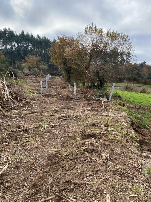 Terreno 10.000 m/2 com mina de água permanente / 10,000 m² (1 ha) plot of land with a permanent water spring