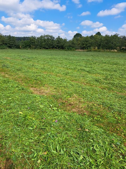 Kompleksowe zaopatrzenie stadnin stajni / żywienie koni siano słoma