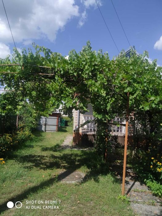Продам будинок с. Климентове