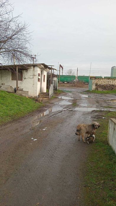 Продам базу в Миколаївській області з власними ЗД шляхами