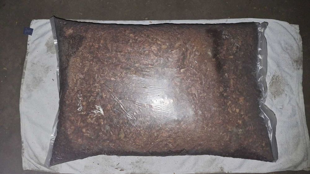 Акція!  МУЛЬЧА соснова  0.1-1 см