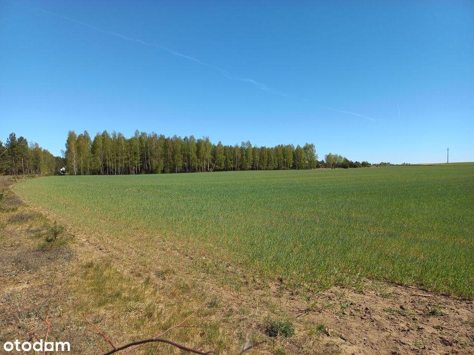 4 Działki budowlane z warunkami zabudowy, Huta, gm. Cekcyn