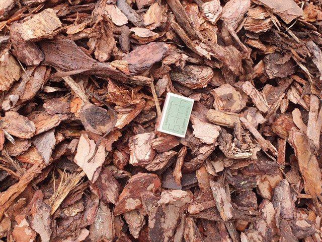 Kora sosnowa luzem kompostowana  borówka torf