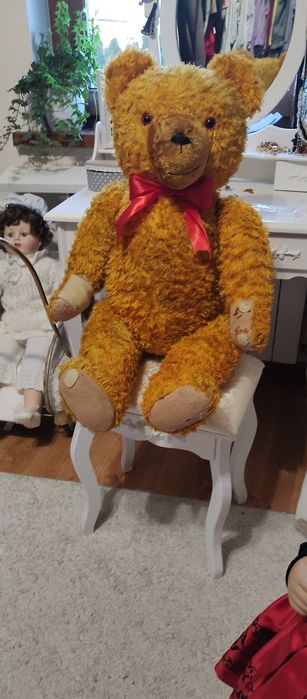 Wielki  Piękny Miś trociniak  87 cm ,bardzo stary,z Niemiec.