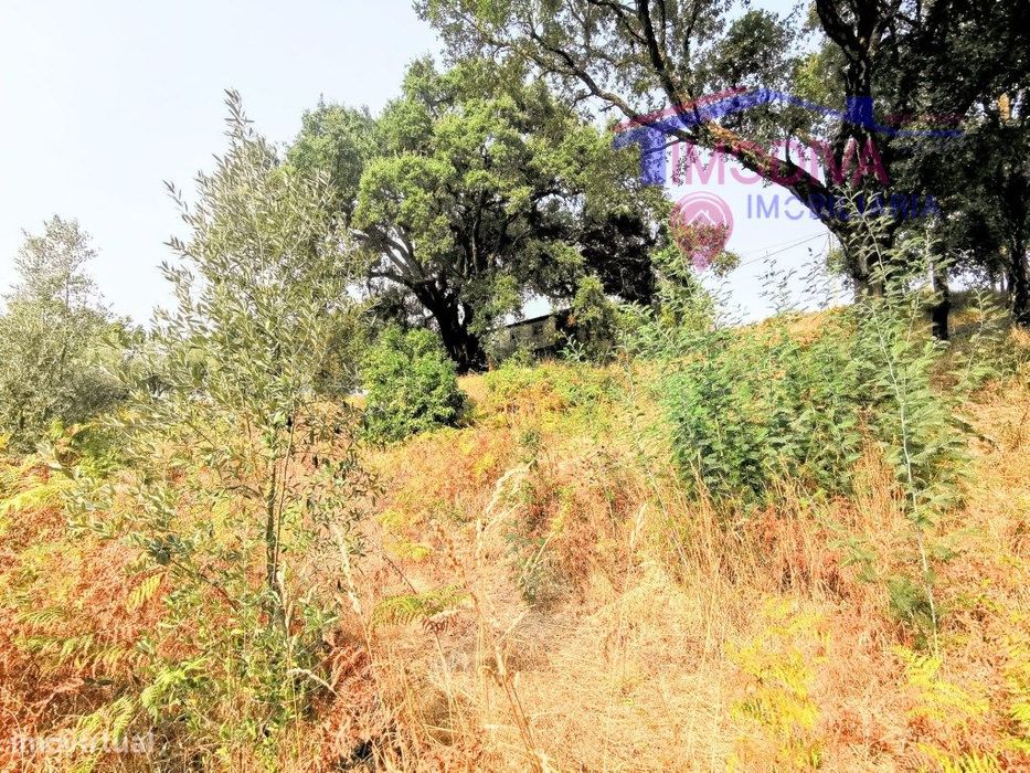Moradia T2 com terreno a confrontar com ribeira em Figueiró dos Vinhos