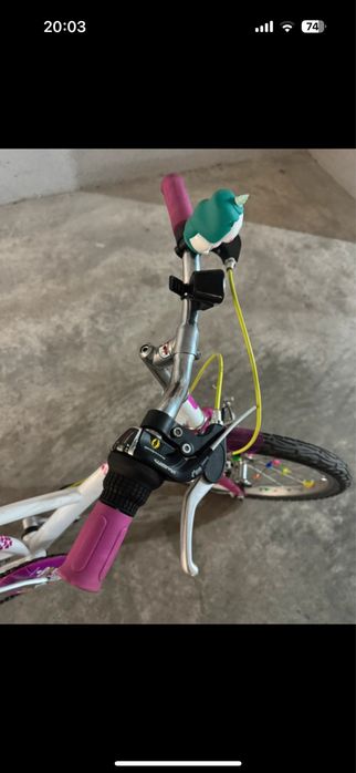 Bicicleta menina