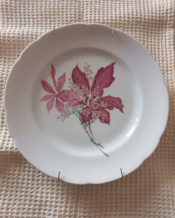 Prato - Vista Alegre