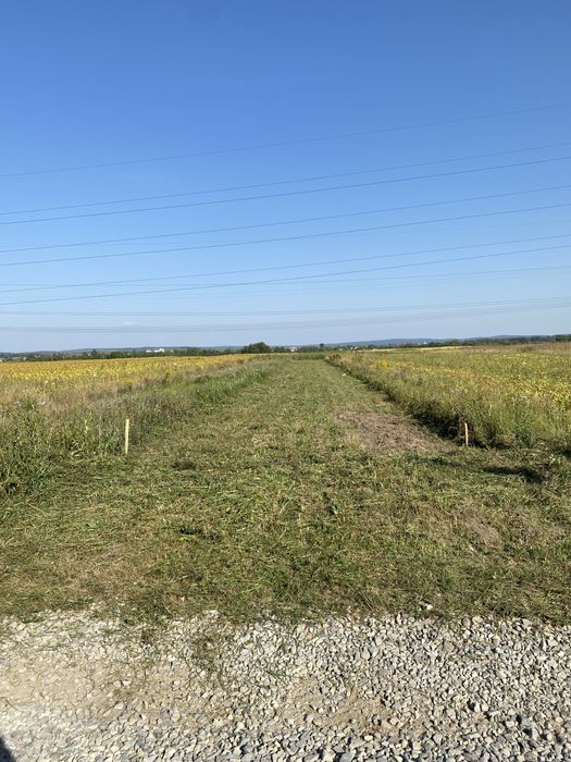 Косіння трави ділянок чагарників