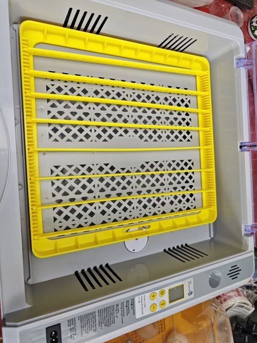 Chocadeira automática 36 ovos