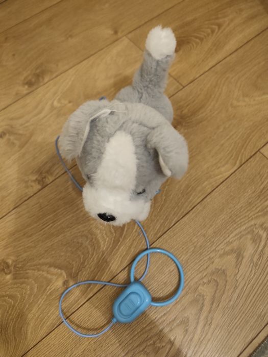 Piesek interaktywny chodzi szczeka