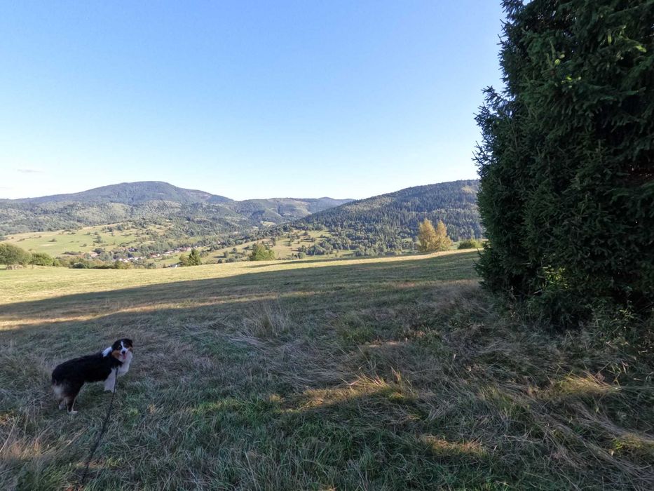 14 Działek w Soli obok Rajczy. 22 141 m². Cena tylko 20zł/m² - Widok 3