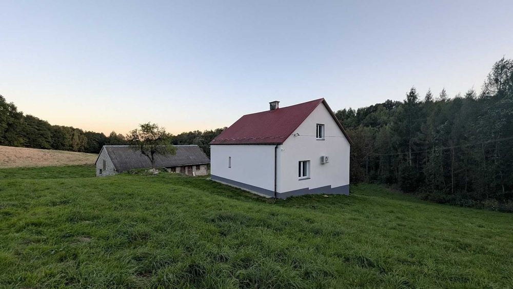 Gospodarstwo w spokojnej okolicy do wynajęcia (podkarpacie)