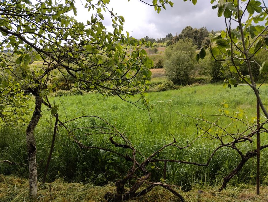 Quinta com duas casas em excelente localização em Trancoso