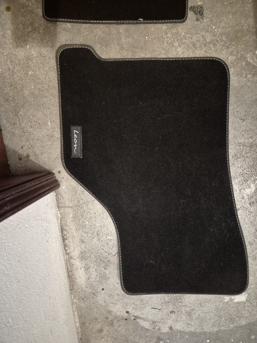 Tapates seat leon iv novos