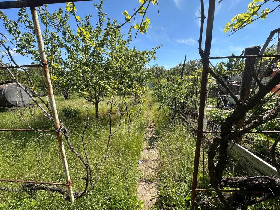 Продам дачу 6 соток, (Льовшинська затока), 15 км від Запоріжжя - View 3