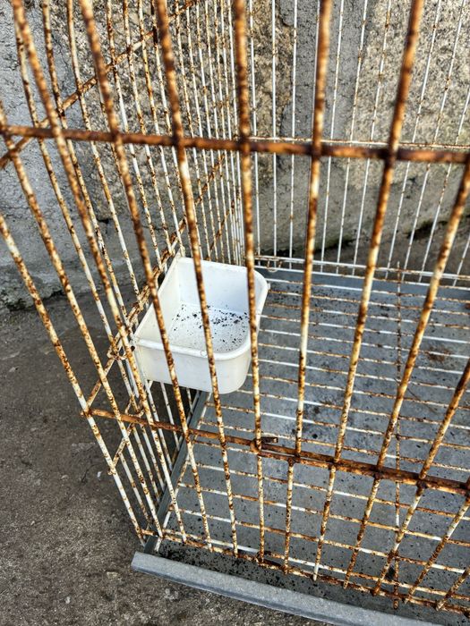 Gaiola para pássaro