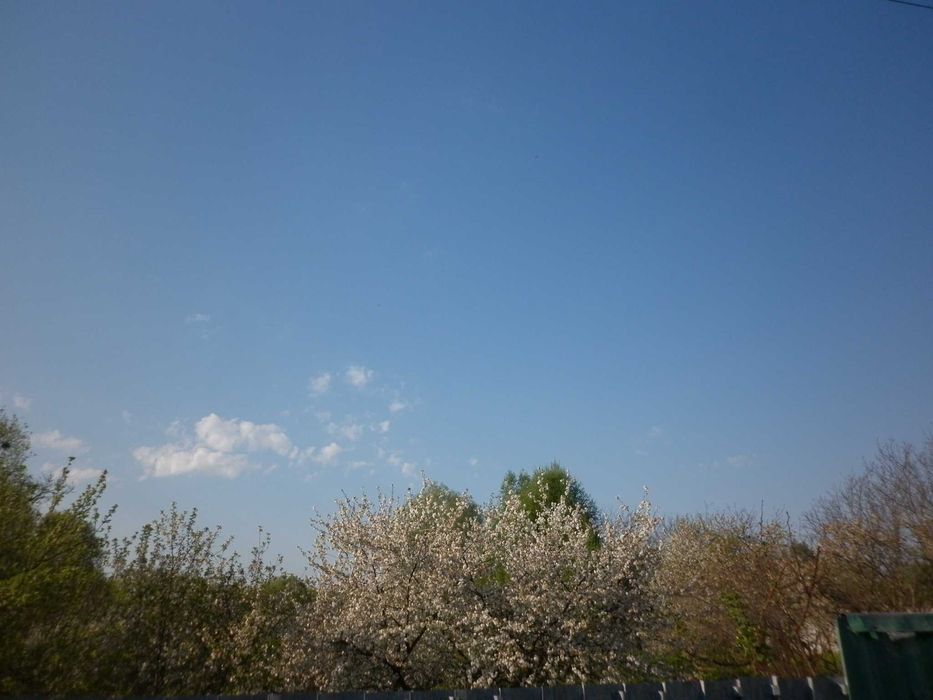 Цифровая фотокамера Panasonic Lumix DMC-F4EE-Silver (Japan/Indonesia)