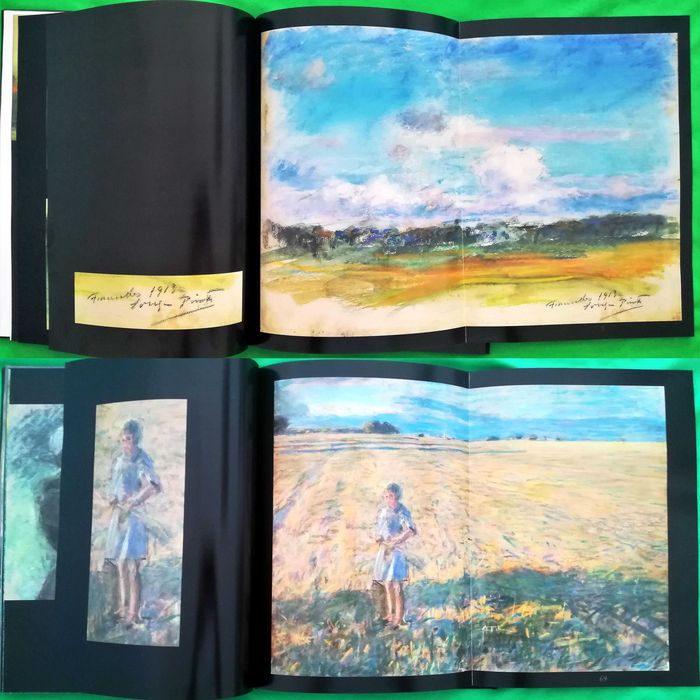 Souza Pinto / exposição no Palácio do Correio Velho