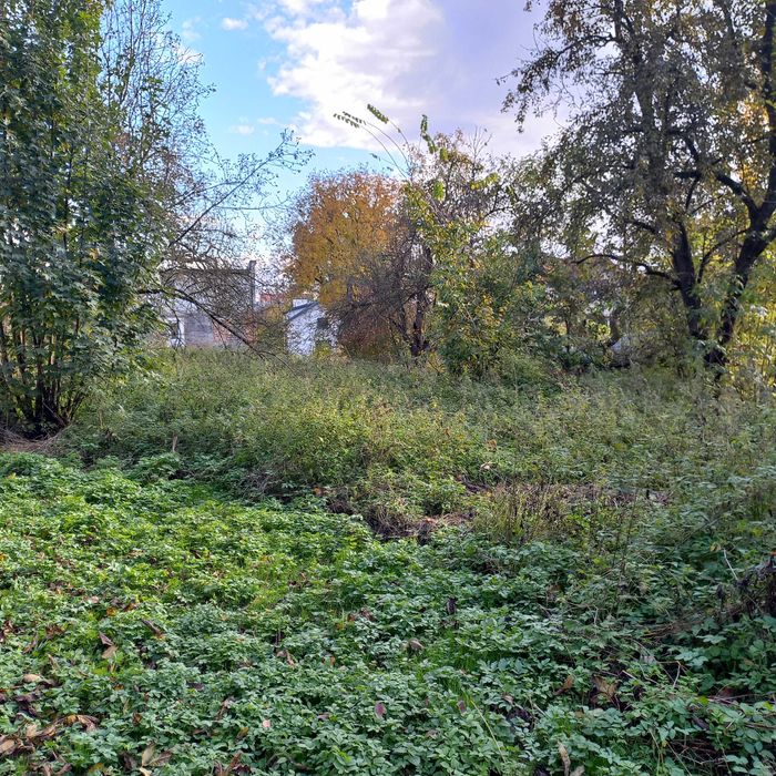 Продам земельну ділянку