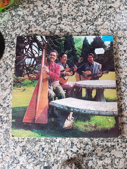 Discos de vinil de 33 tours