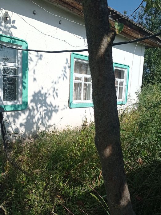 Садиба біля річки Десна. Село Лебедівка.