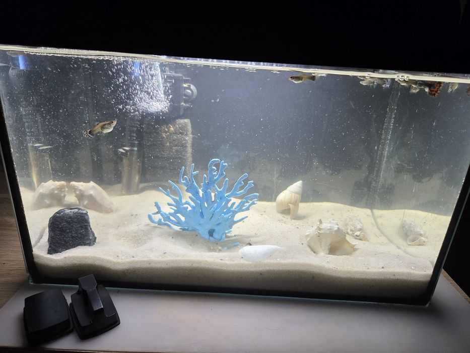 Akwarium z wyposazeniem 40x25