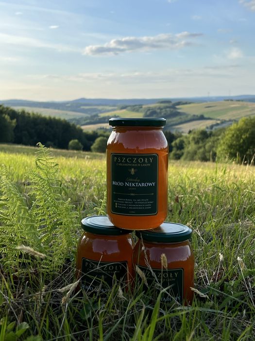 Miod nektarowy - leśny                           2 x sloik 1250g/900ml