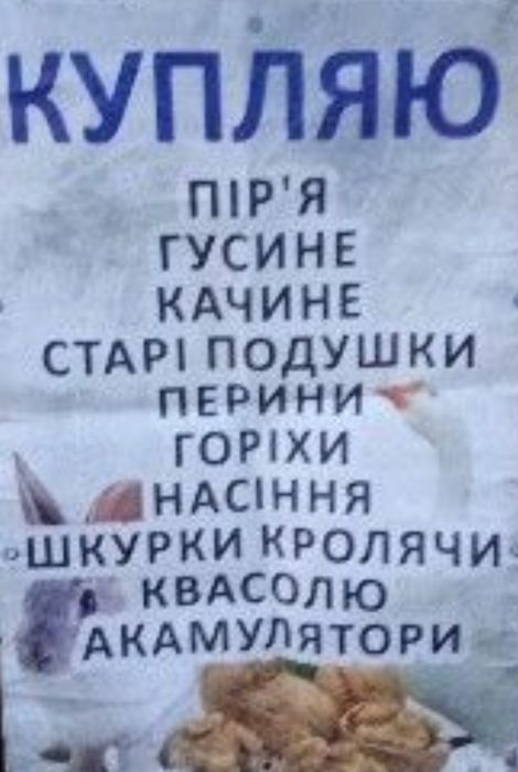 Закуповуем пір'я,горіхи,гарбузове насіння,подушки-перини,цвітний метал