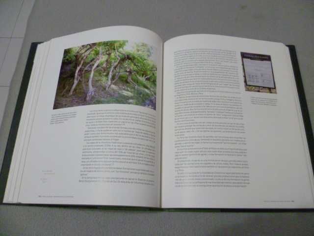 El Paisage del Viñedo - Luis Vicente Elías Pastor (Vinho e Vinha)