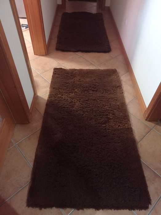 Dois tapetes bom estado medida de cada um  80 cm largura por   1 metro.50.  de comprimento