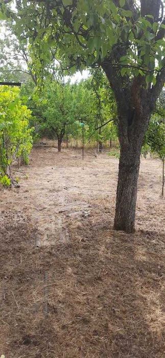 Продам дачу за Любимовкой от города 15 км