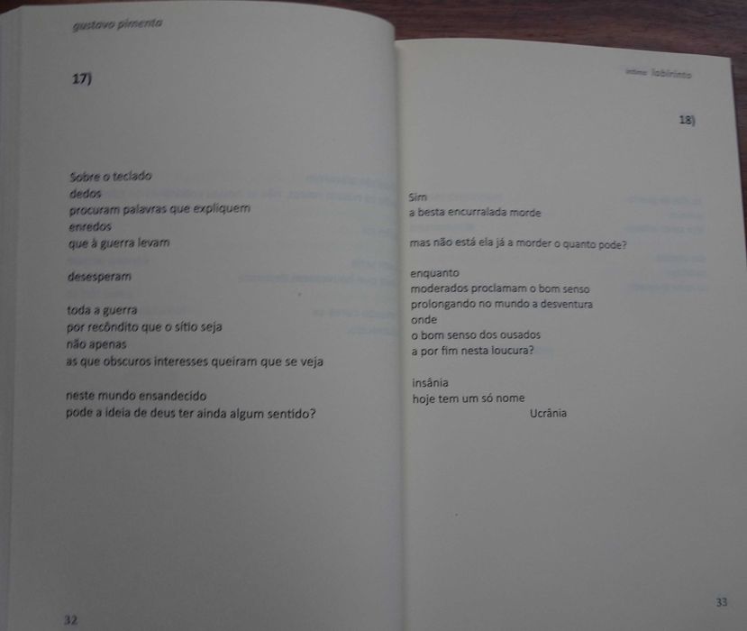 Íntimo Labirinto de Gustavo Pimenta