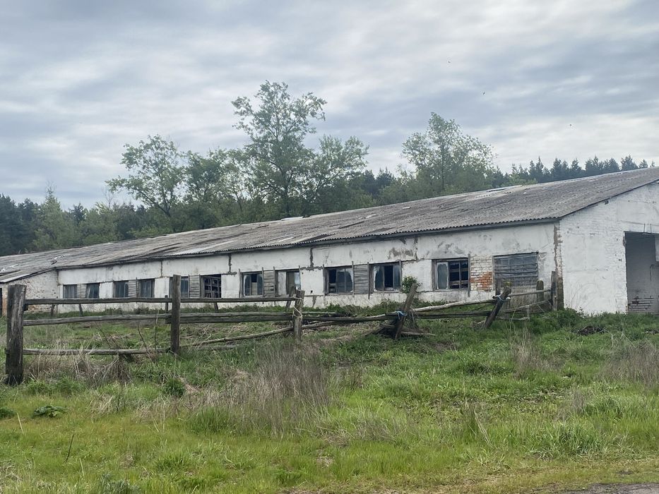 Продам корівник, Клюшечник 21й, 18й
