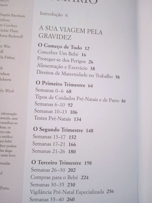 A sua Gravidez Semana a semana