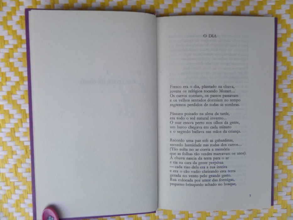 PRINCÍPIO DE SOL 
Autor: Pedro Tamen