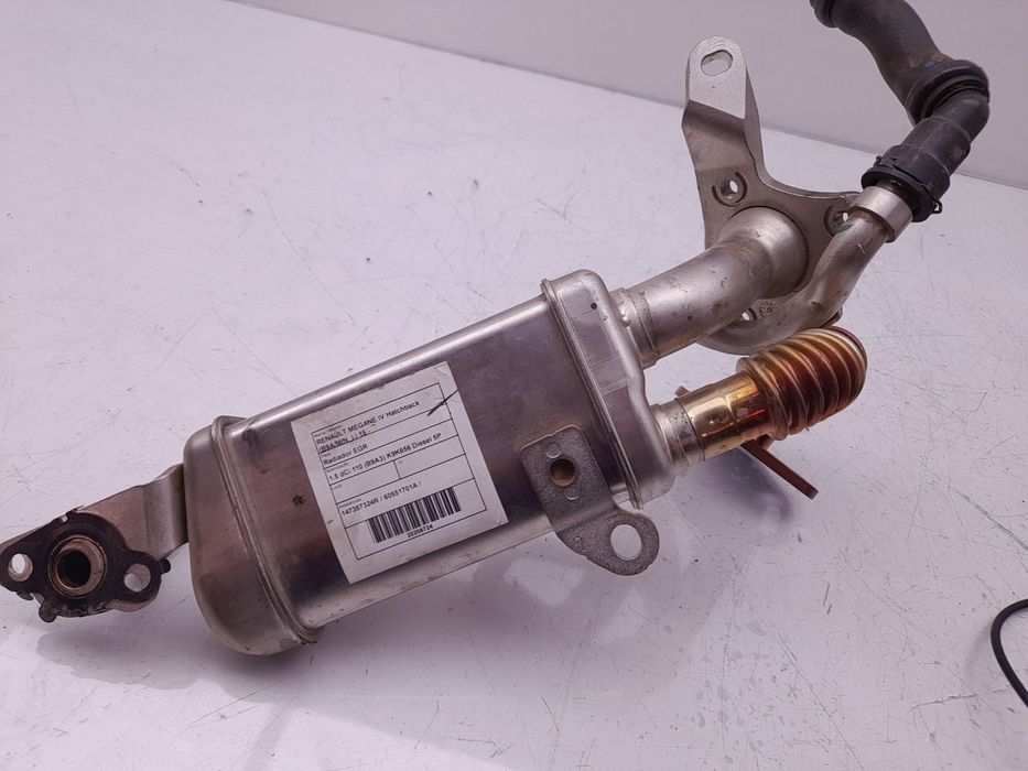 Radiador de gases / EGR RENAULT Megane IV (B9A/M_)