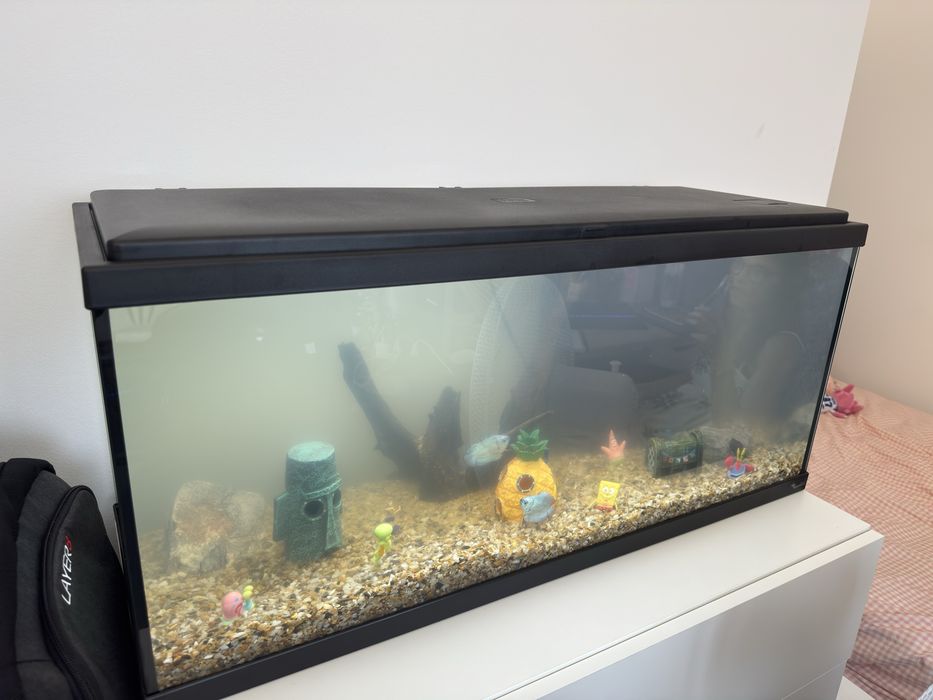 Aquário retangular 85 L com extras