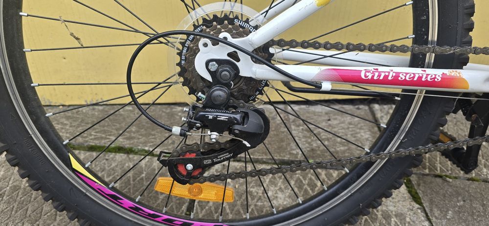 Велосипед для дівчинки підлітковий Fort 24 Girl Series