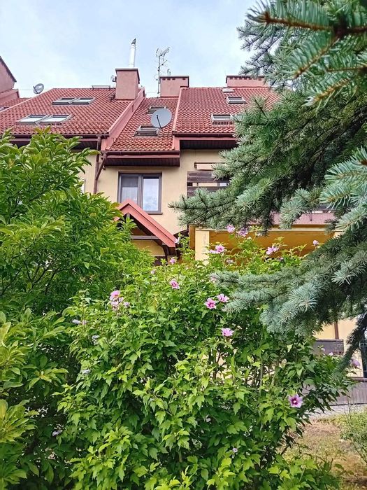 Mieszkanie na wynajm
